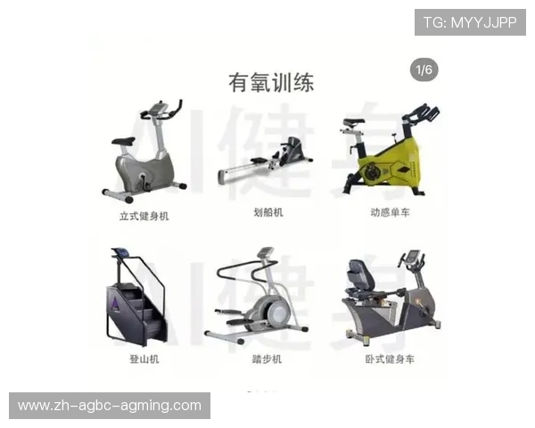 室内健身器材材料种类及耐用性对比分析 室内健身器材材料种类及耐用性对比分析