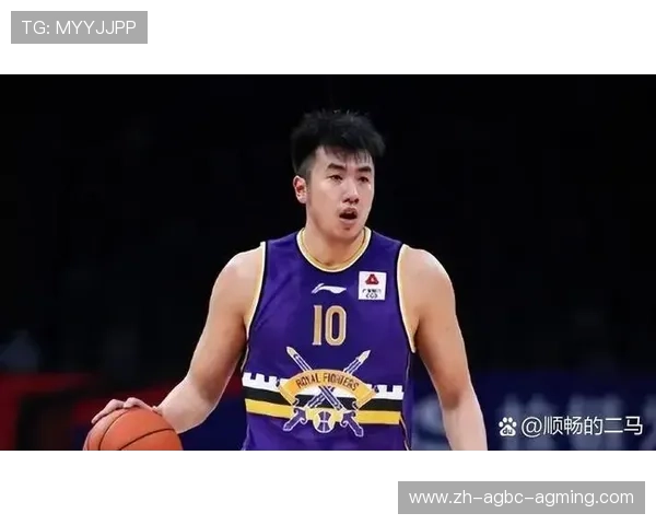 广厦男篮主要球员名单及CBA比赛表现回顾