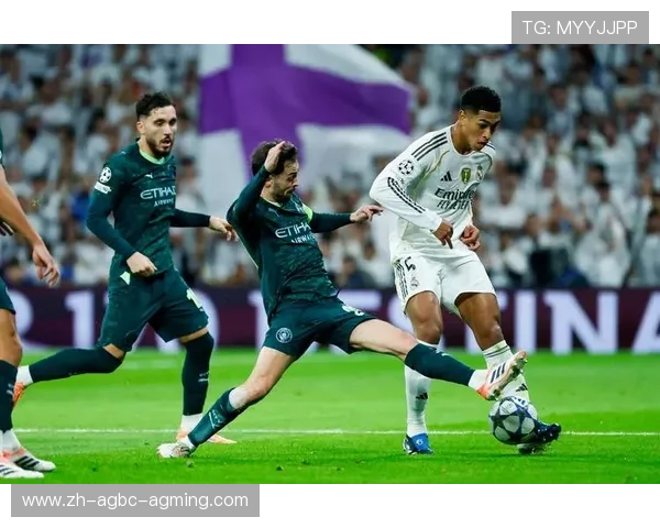 皇马2013年欧冠冠军之路及关键比赛回顾