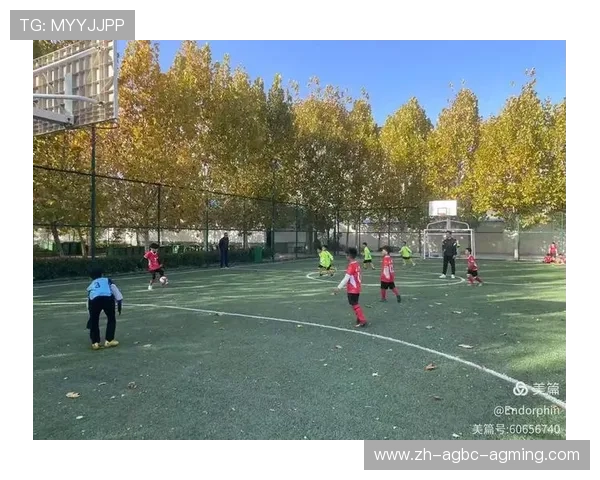 青春加速度：校园足球联赛竞逐荣耀之路