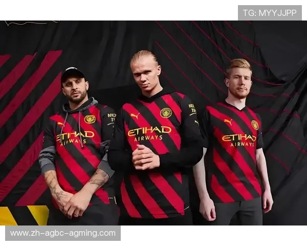 英超水晶宫主教练图：球队战略与战术安排