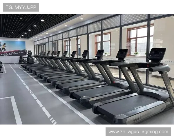 高品质室内健身器材厂家源头供应链解决方案 高品质室内健身器材厂家源头供应链解决方案